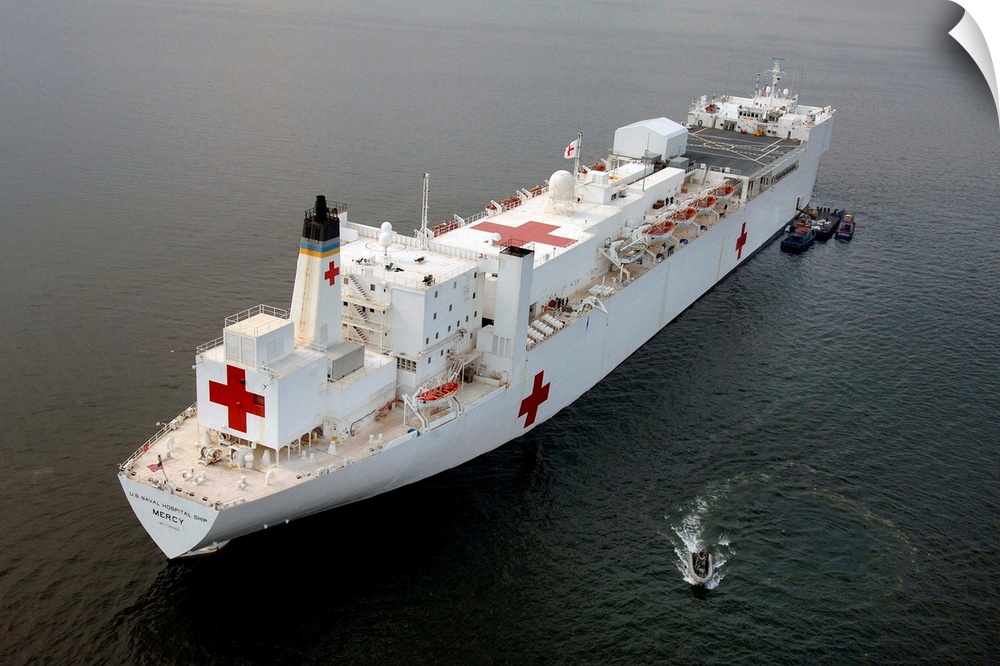 The Military Sealift Command hospital ship USNS Mercy.