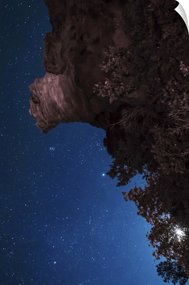 The moon rises through trees on a rocky cliff in Oklahoma, USA.