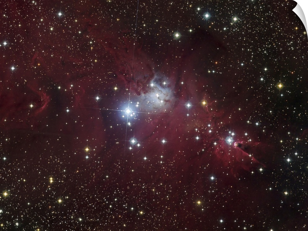 The NGC 2264 region showing the Cone Nebula, Christmas Tree Cluster, and Fox Fur Nebula.