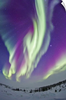 The Northern Lights in Churchill, Manitoba, Canada
