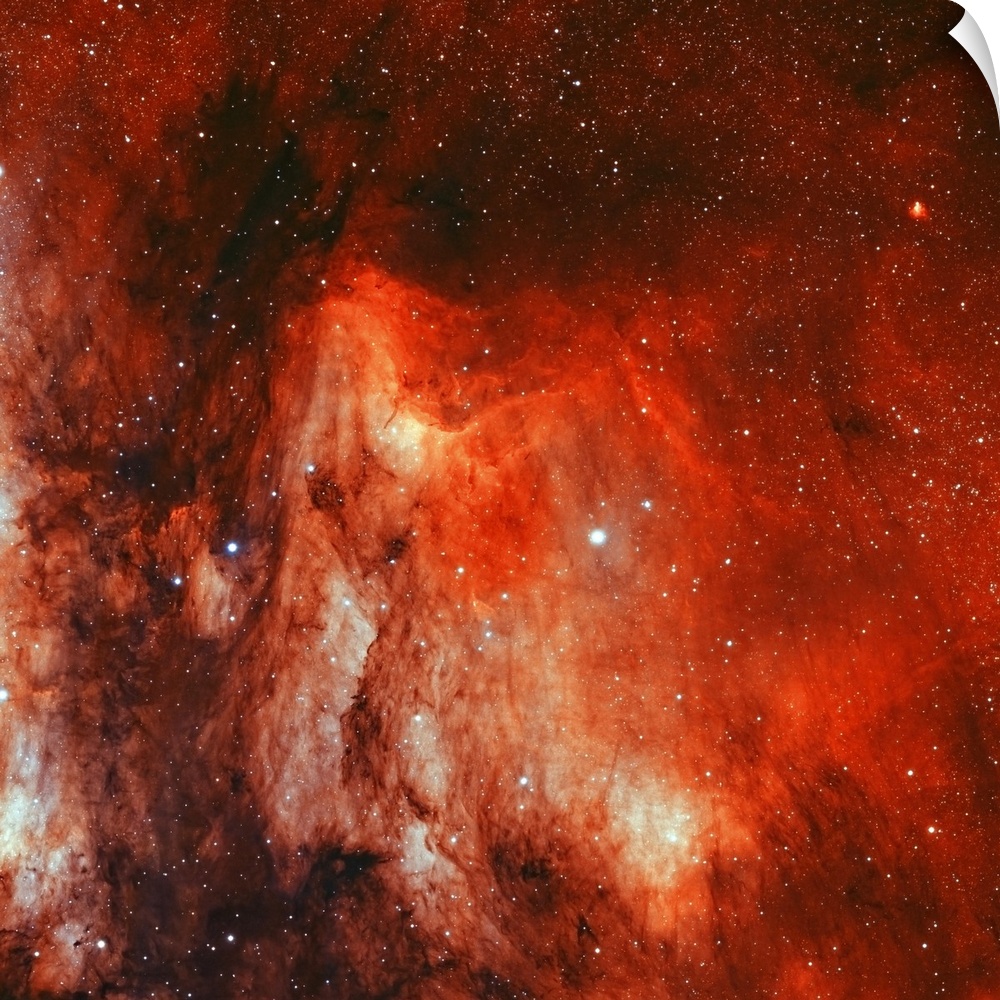 IC 5070, the Pelican Nebula.