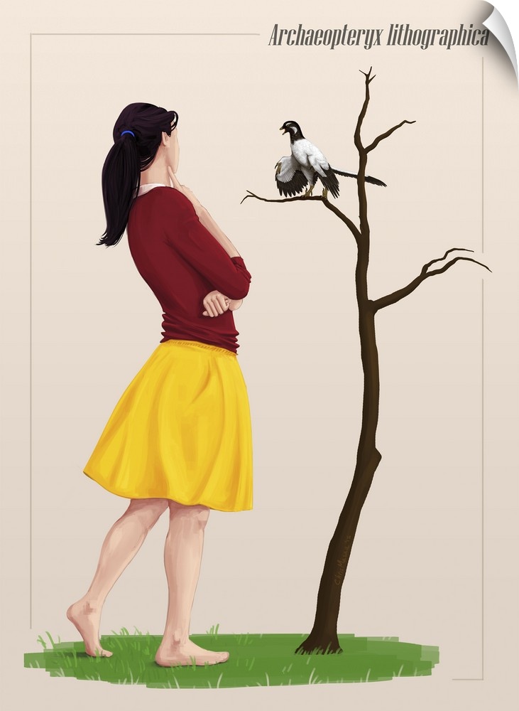 The size of an Archaeopteryx perched on a tree branch compared to a young adult.