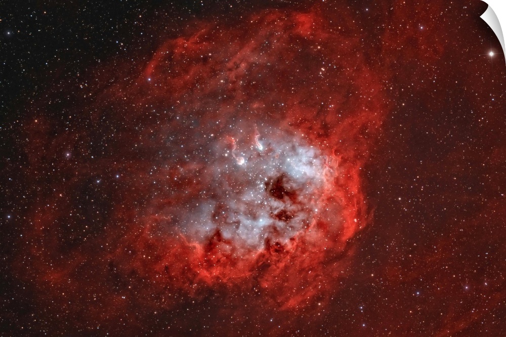 IC 410, The Tadpole Nebula in Auriga.