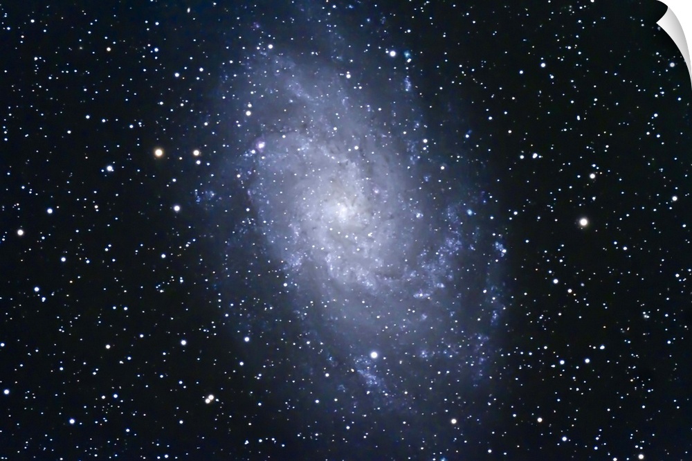 The Triangulum Galaxy (NGC 598) in the Local Group of galaxies.