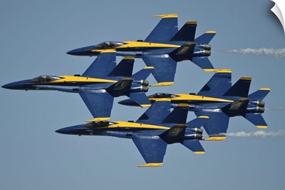The U.S. Navy flight demonstration squadron, the Blue Angels