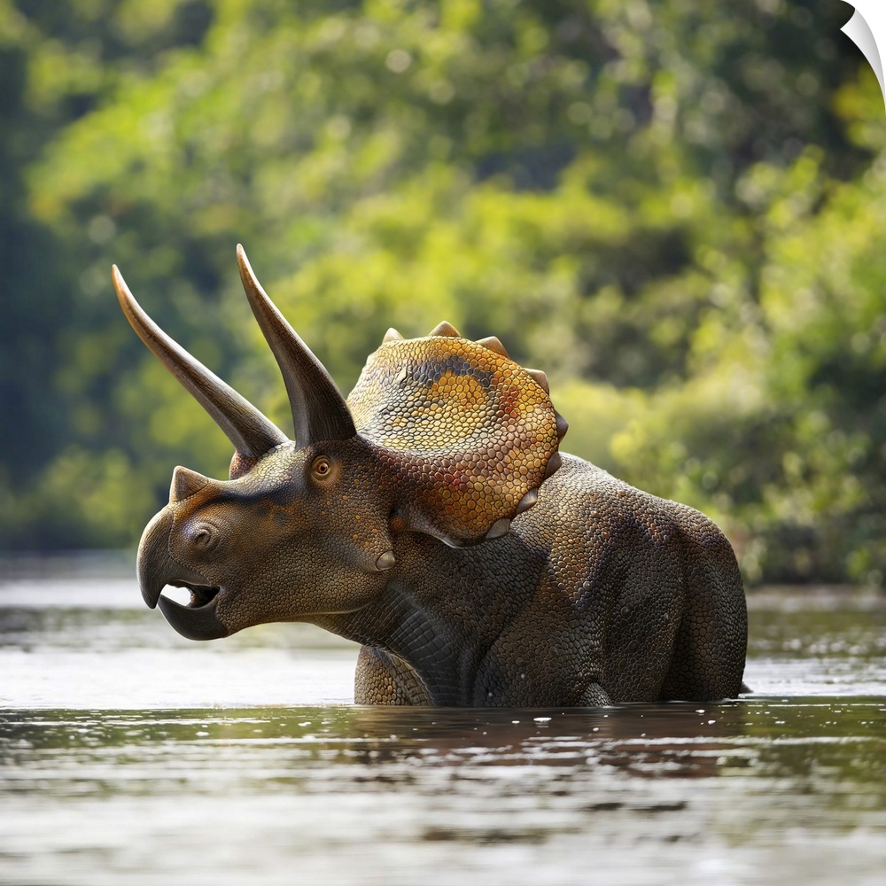 Triceratops dinosaur in lake.