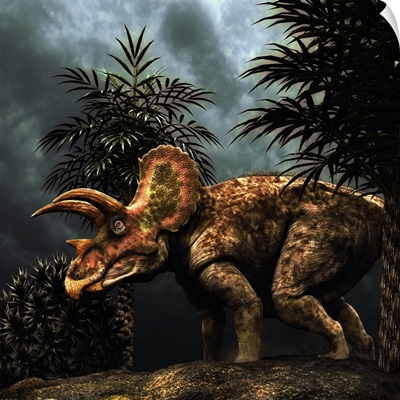 Triceratops was a herbivorous dinosaur from the Cretaceous period