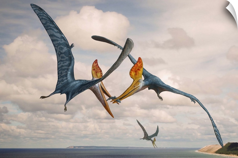 Two Geosternbergia pterosaurs fighting over small fish.