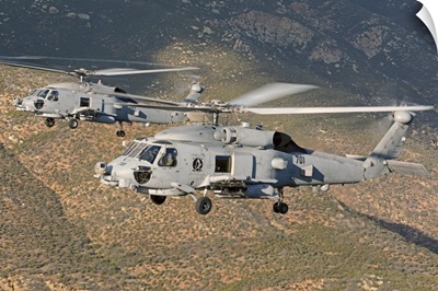 Two MH-60 helicopters of the U.S. Navy Blue Hawks squadron