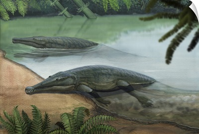 Two prehistoric Platyoposaurus stuckenbergi swim ashore