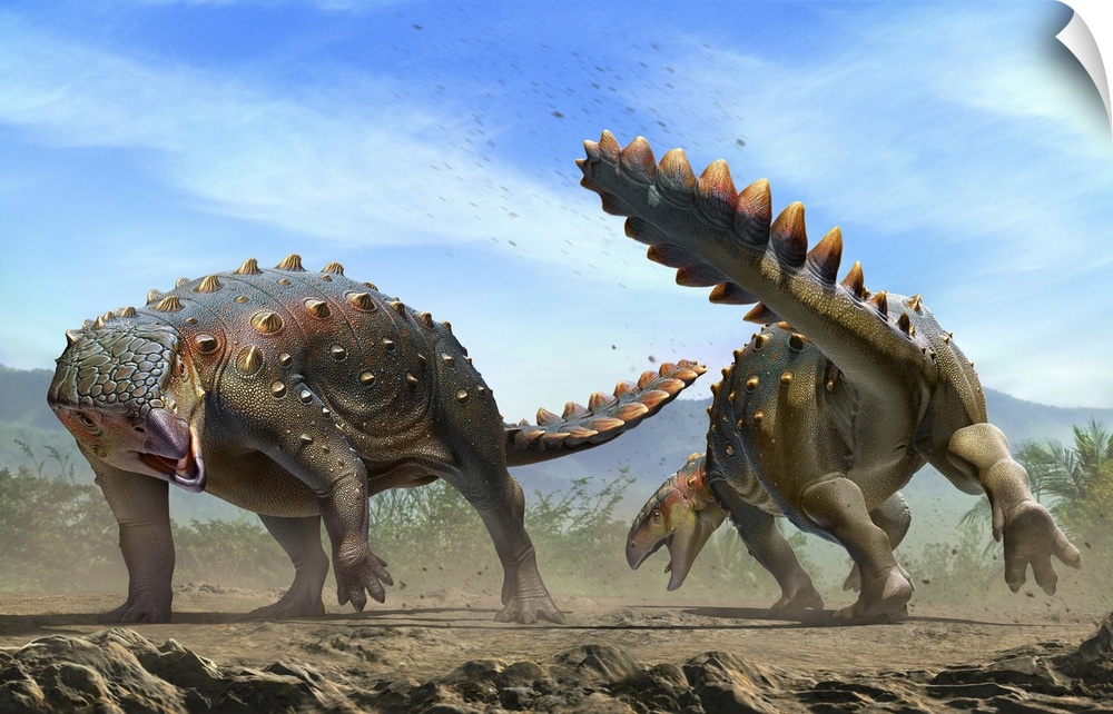 Two Stegouros elengassen dinosaurs fighting.