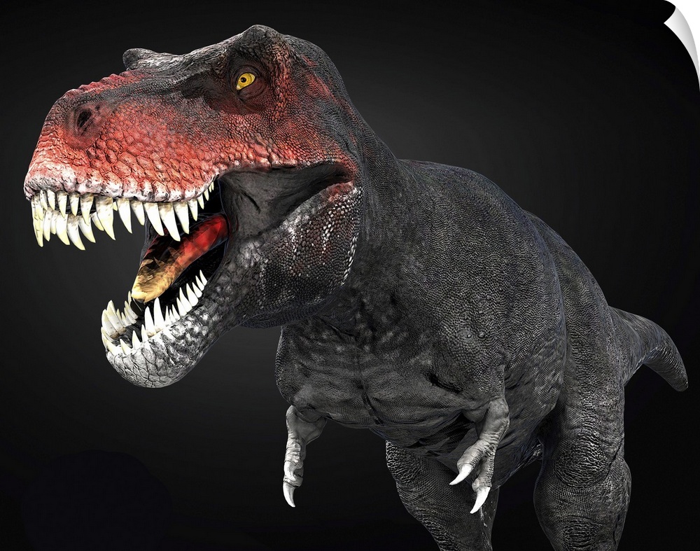 Tyrannosaurus rex dinosaur, close-up.