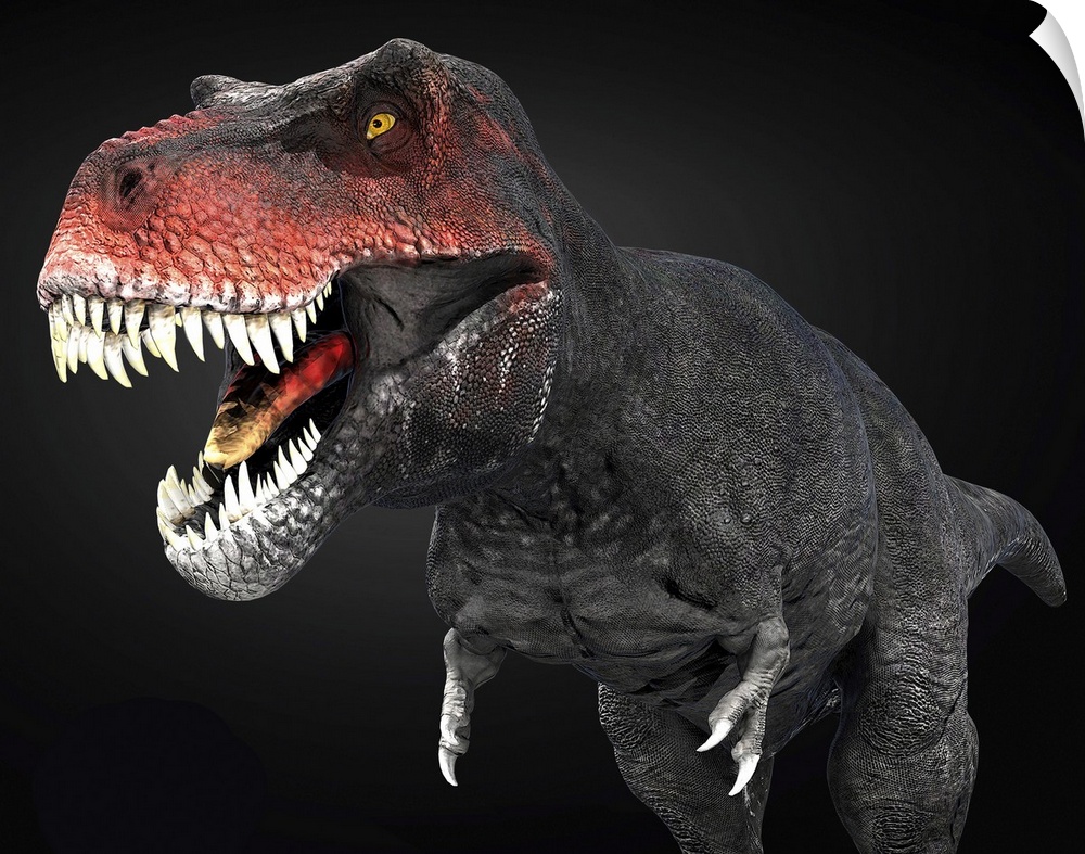 Tyrannosaurus Rex 3D Dinosaur