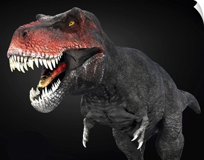 Tyrannosaurus Rex Dinosaur, Close-Up