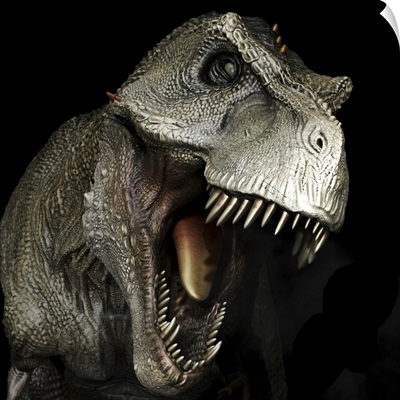 Tyrannosaurus Rex Dinosaur Head, Front View