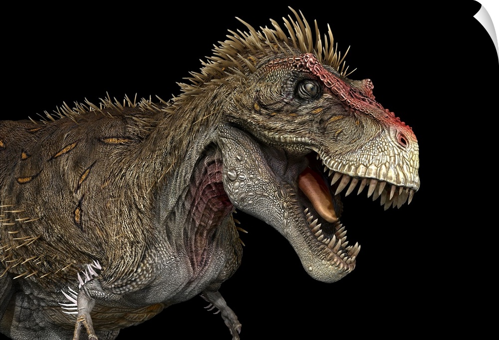 Tyrannosaurus rex dinosaur, profile view.