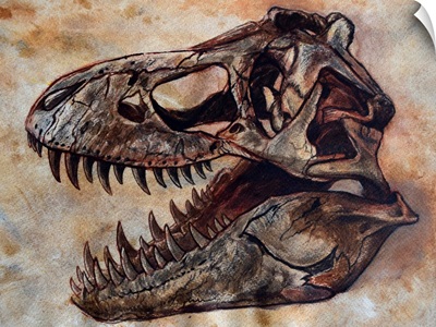 Tyrannosaurus rex dinosaur skull