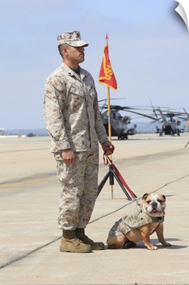 U.S. Marine and the official mascot for Marine Corps Air Station Miramar