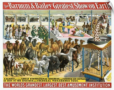 Vintage Barnum & Bailey Circus Poster Of A Group Of People And Animals, 1895