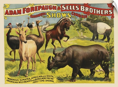Vintage Circus Poster For Adam Forepaugh & Sells Brothers Enormous Shows Combined
