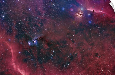 Widefield view in the Orion constellation