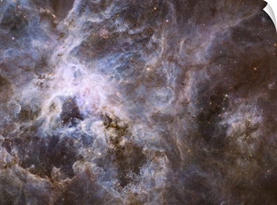 Widefield view of the Tarantula Nebula