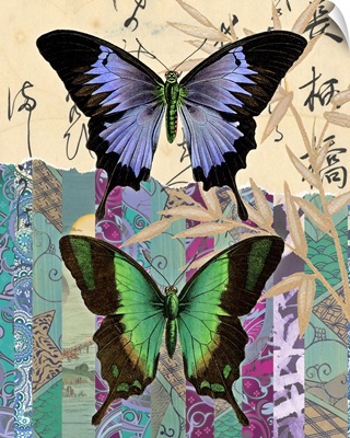 Asian Butterflies I