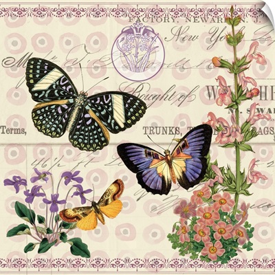 Butterfly Botanical II