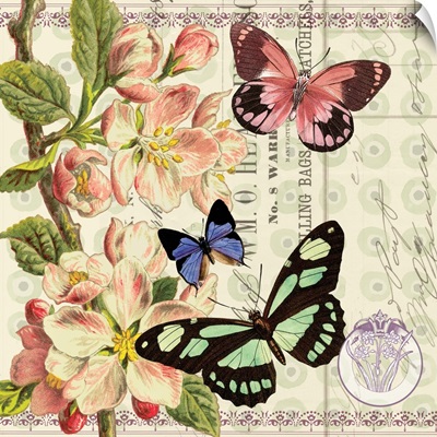Butterfly Botanical III