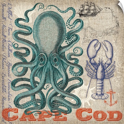 Cape Cod Nautical II