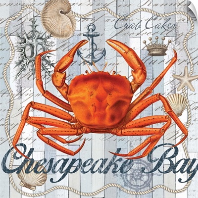 Chesapeake Bay II