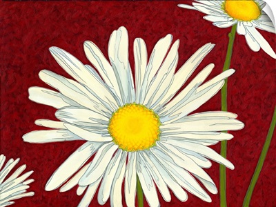 Daisy on Red