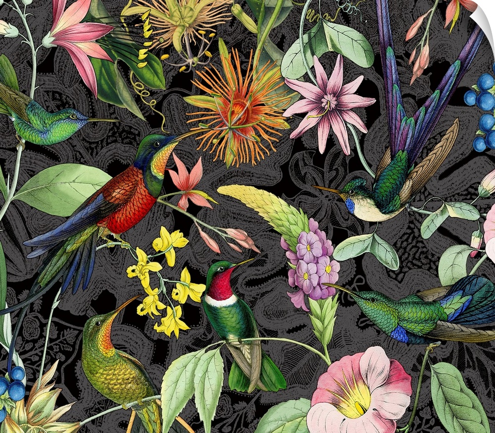 Collection of vintage flowers and hummingbird illustrations.