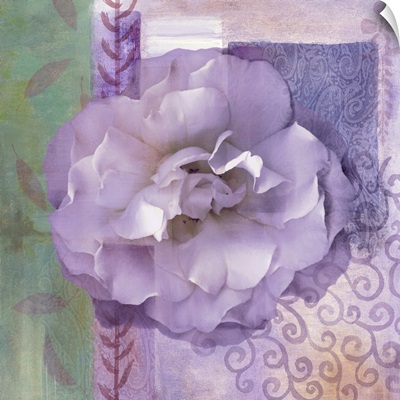 Lavender Rose II