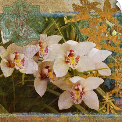 Orchid Inspiration