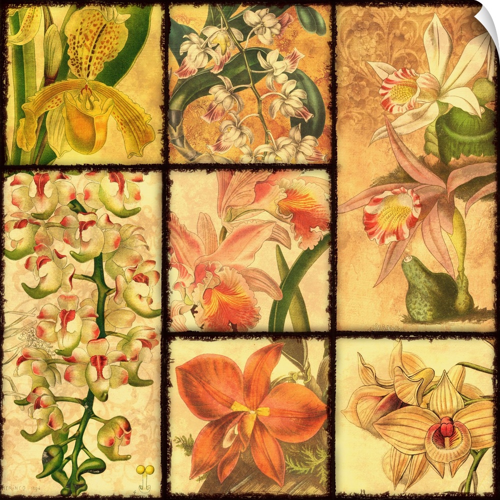 Orchid Patchwork II