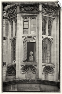 Oxford Exams Hall Window