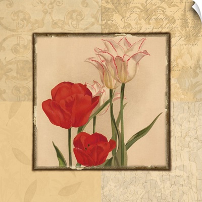 Red and White Floral Quad II