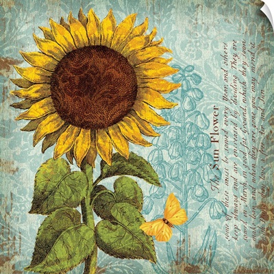 Sunflower Damask I