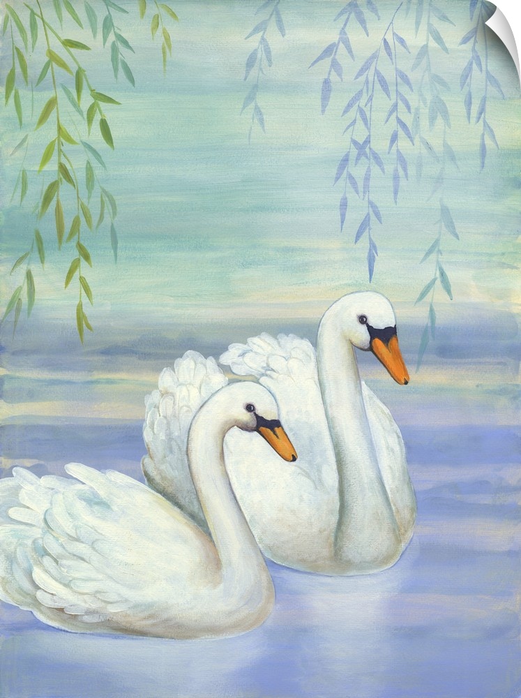 Two white swans swimming under a willow tree.