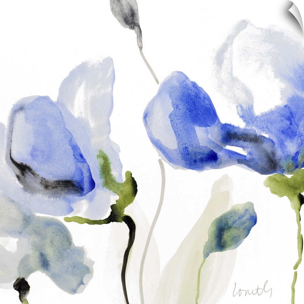 Watercolor painting of blue poppies against a white background.