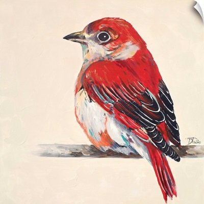 Baby Red Bird II