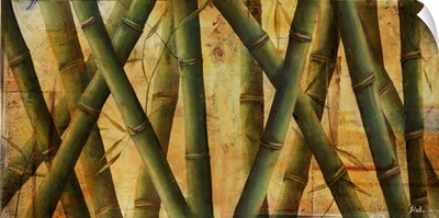 Bamboo Forest II