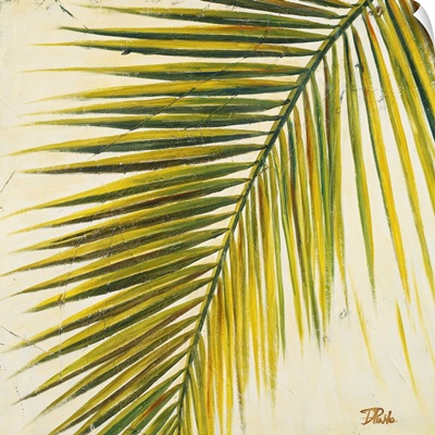 Baru Palm I