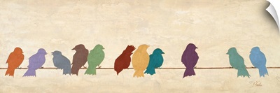 Birds Meeting