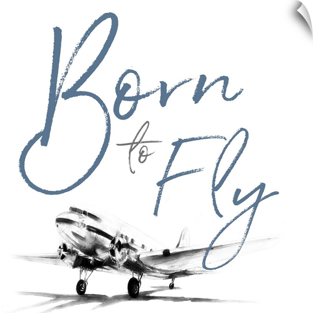 Born To Fly