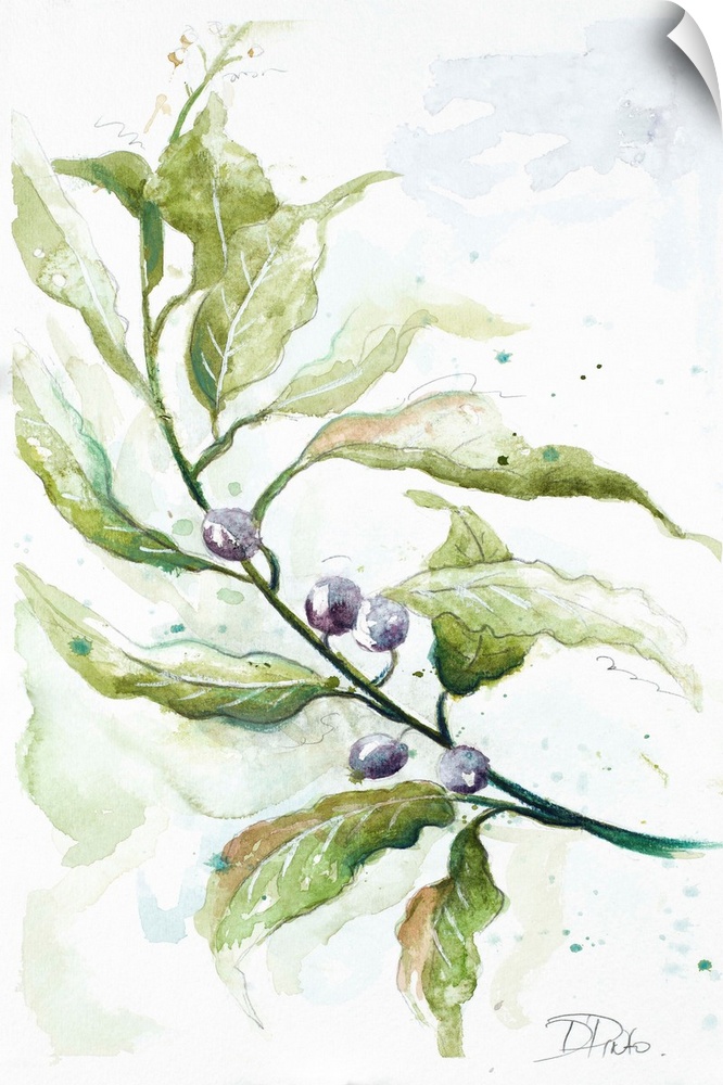 A watercolor painting of a branch with leaves and berries.