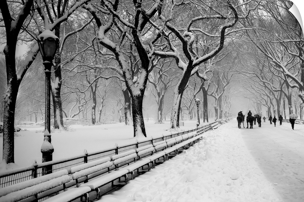 People walking along a snow-covered walkway under the trees in Central Park, New York.
