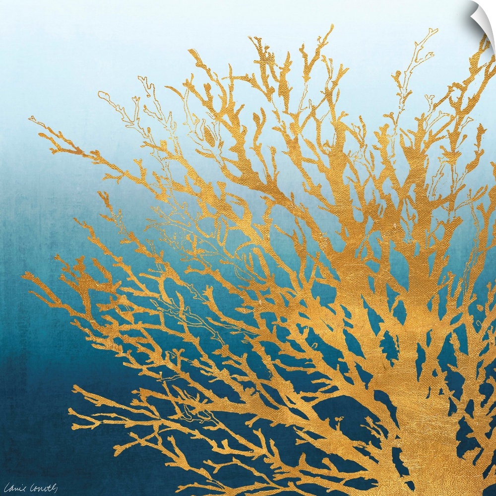 Decorative artwork of a coral silhouette against a gradient.