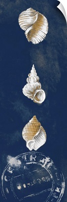 Coastal Shells Panel I